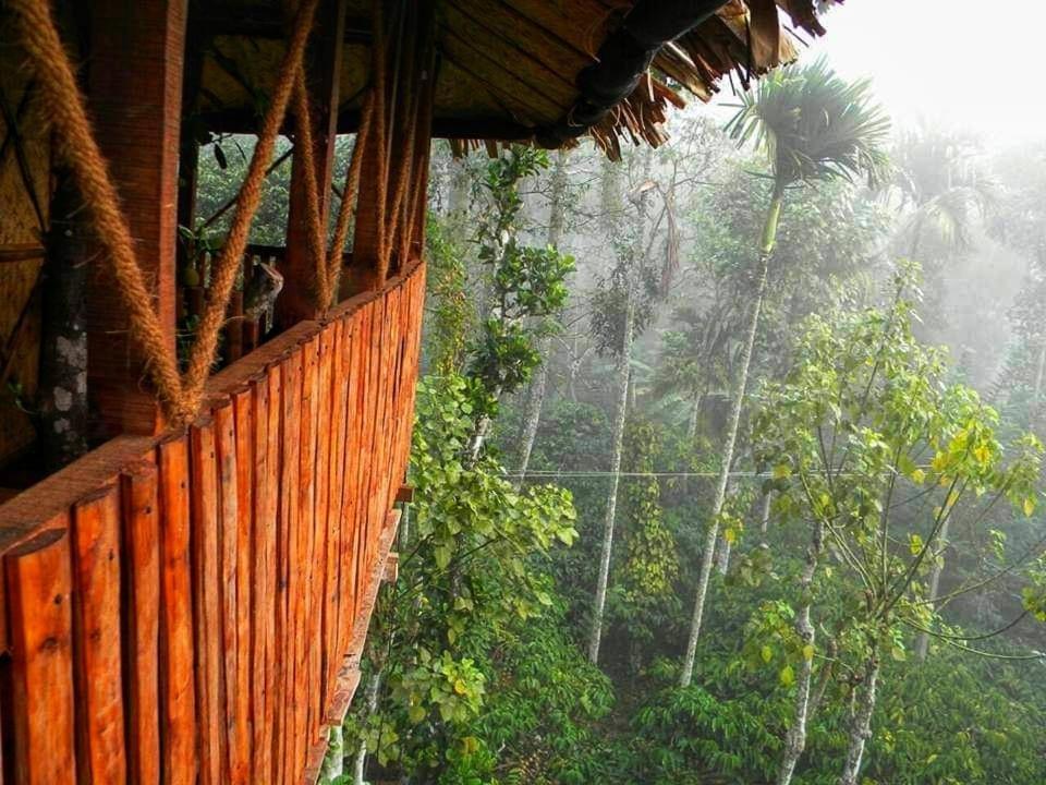 Greens Tree House & Wood House Sultan Bathery Ngoại thất bức ảnh