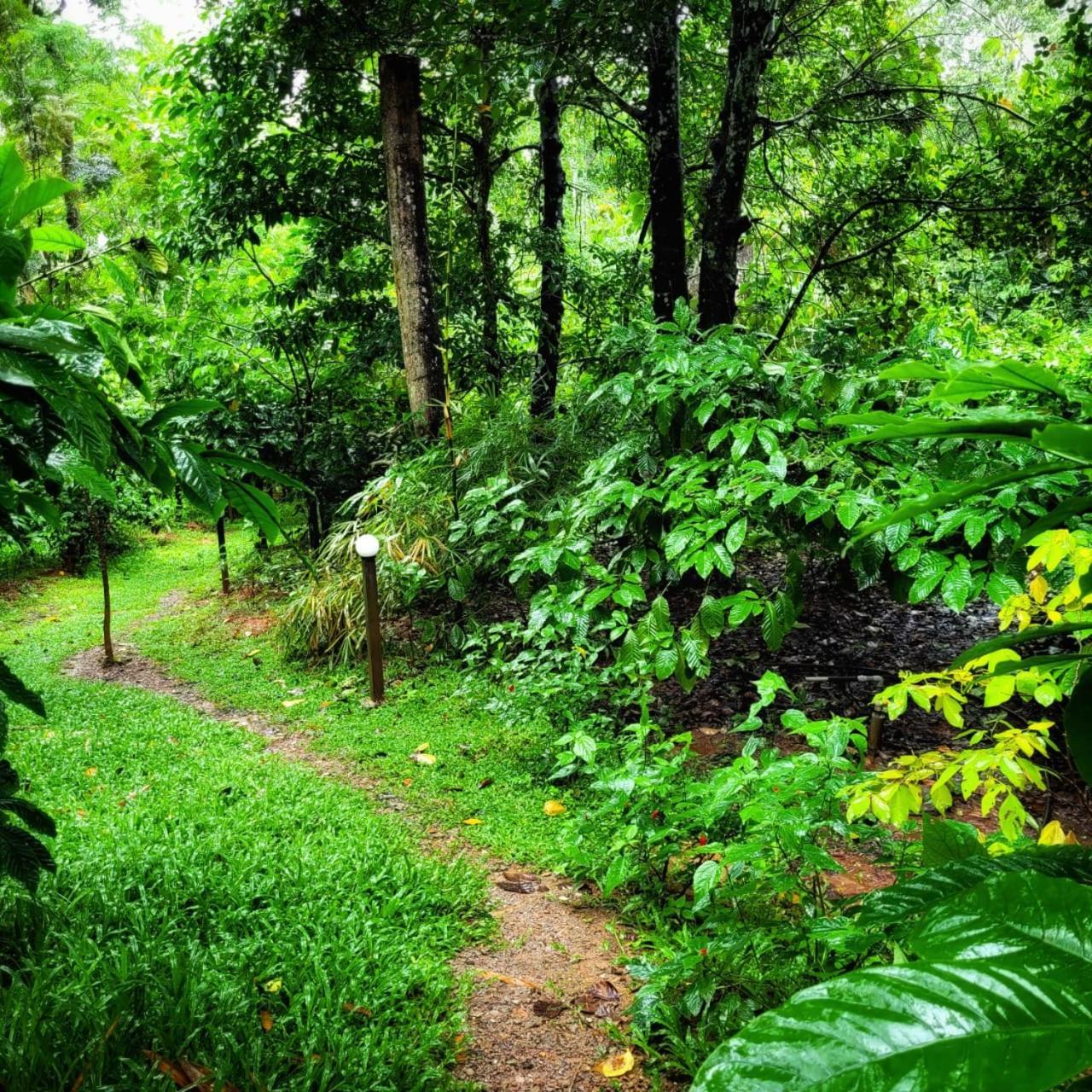 Greens Tree House & Wood House Sultan Bathery Ngoại thất bức ảnh