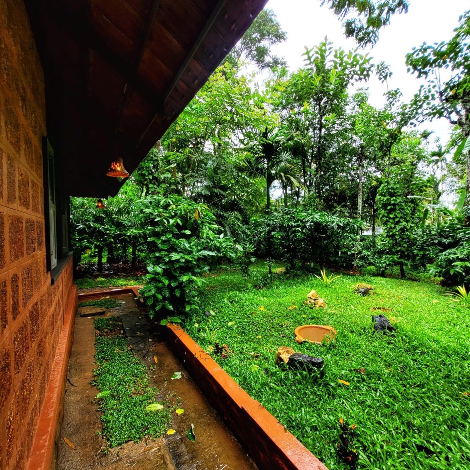Greens Tree House & Wood House Sultan Bathery Ngoại thất bức ảnh