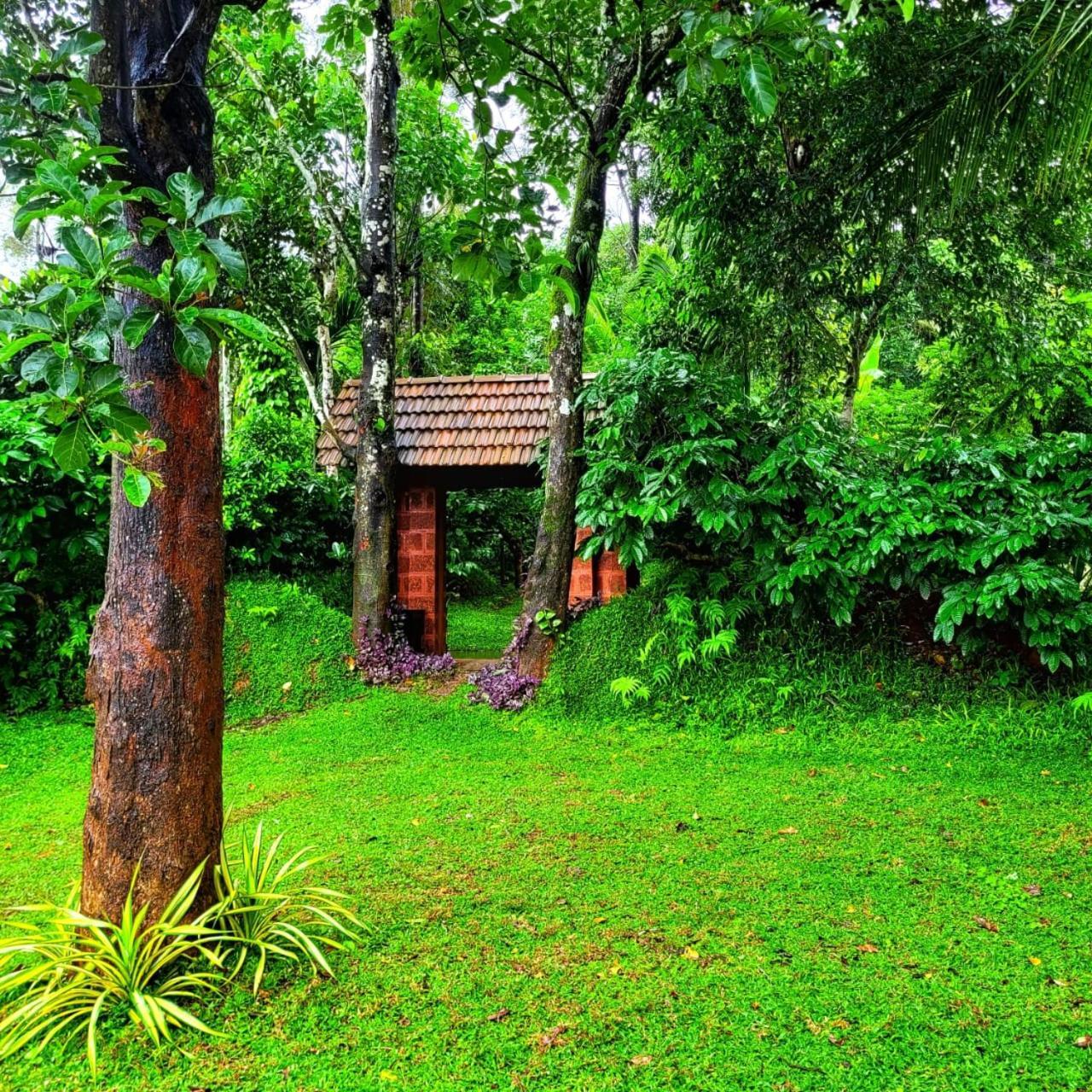 Greens Tree House & Wood House Sultan Bathery Ngoại thất bức ảnh
