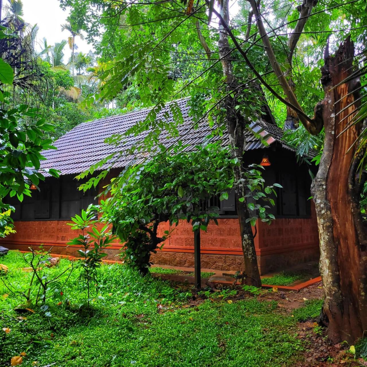 Greens Tree House & Wood House Sultan Bathery Ngoại thất bức ảnh