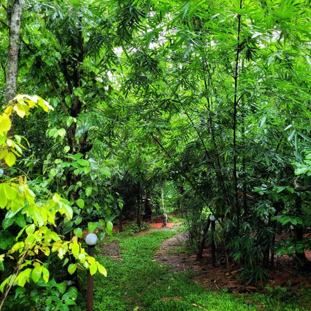 Greens Tree House & Wood House Sultan Bathery Ngoại thất bức ảnh